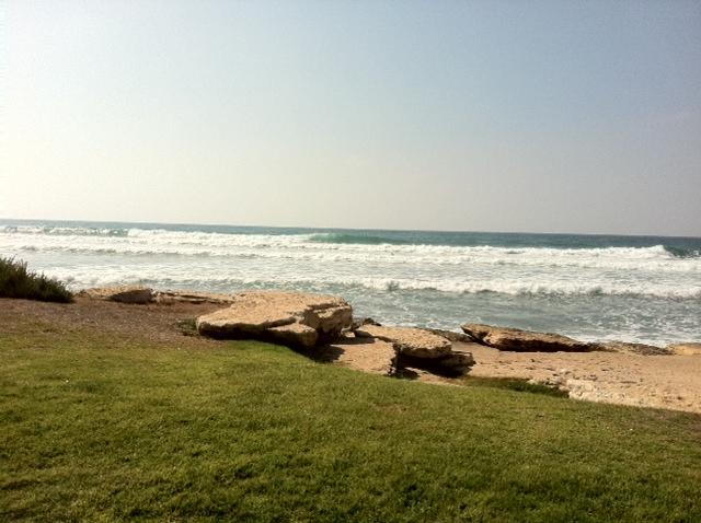 Beautiful On The First Line Of The Sea